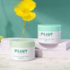 50g Thick Wall PET Cream Container (2)